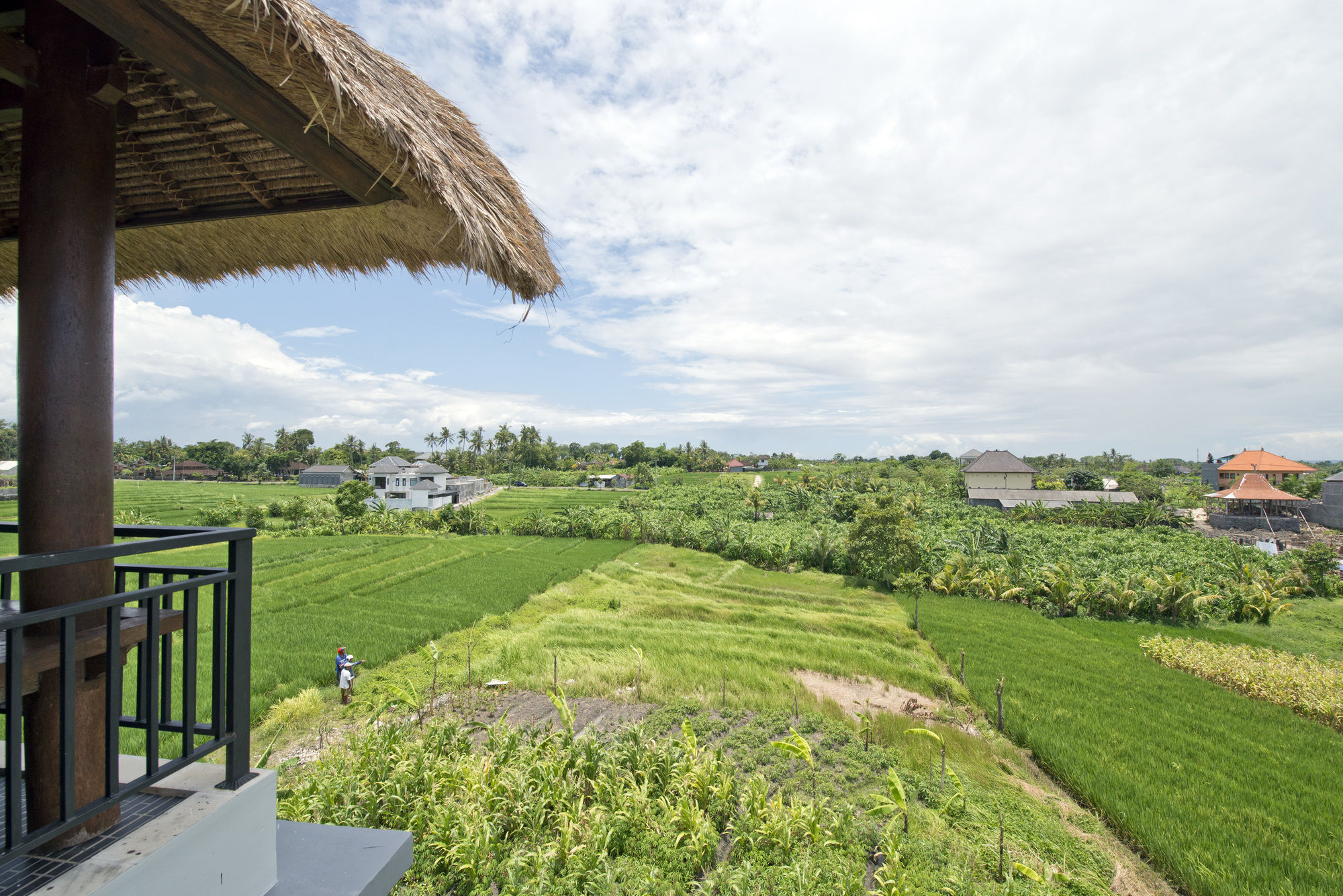 Paddy View Villa Kuta Lombok Exterior foto